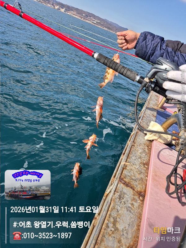 2026-01-31 11.41.10__(#-어초 왕열기.우럭.쏨뱅이)_(-010~3523~1897).jpg