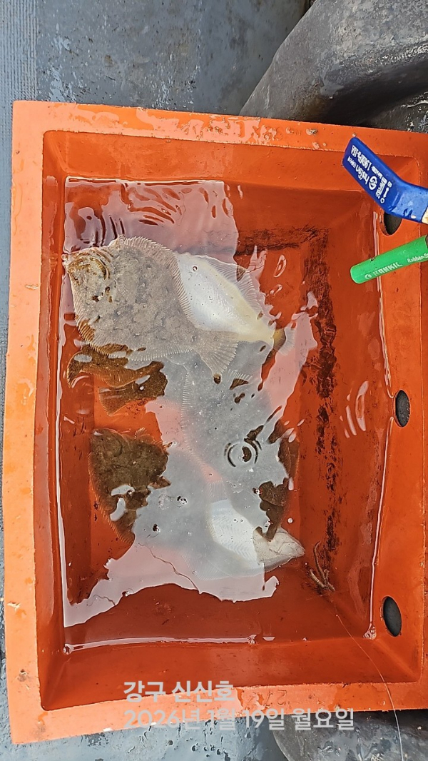 신신낚시 강구점 신신호_사진_20260119_4.jpg