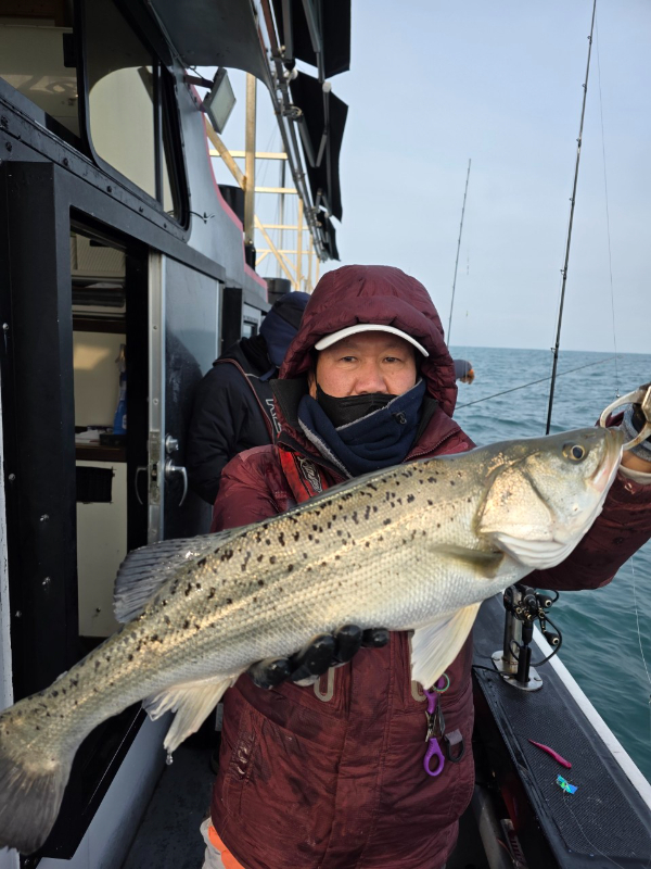 ꫛꫀꪝ✧‧˚ 태안 마검포 新출항호 .• _˚☀₊_사진_20260105_2.jpg