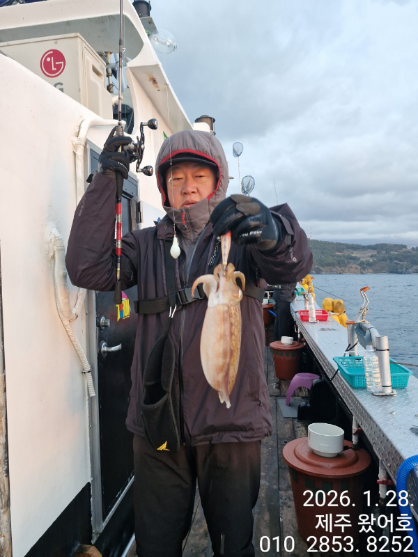 제주왔어호_사진_20260129_27.jpg