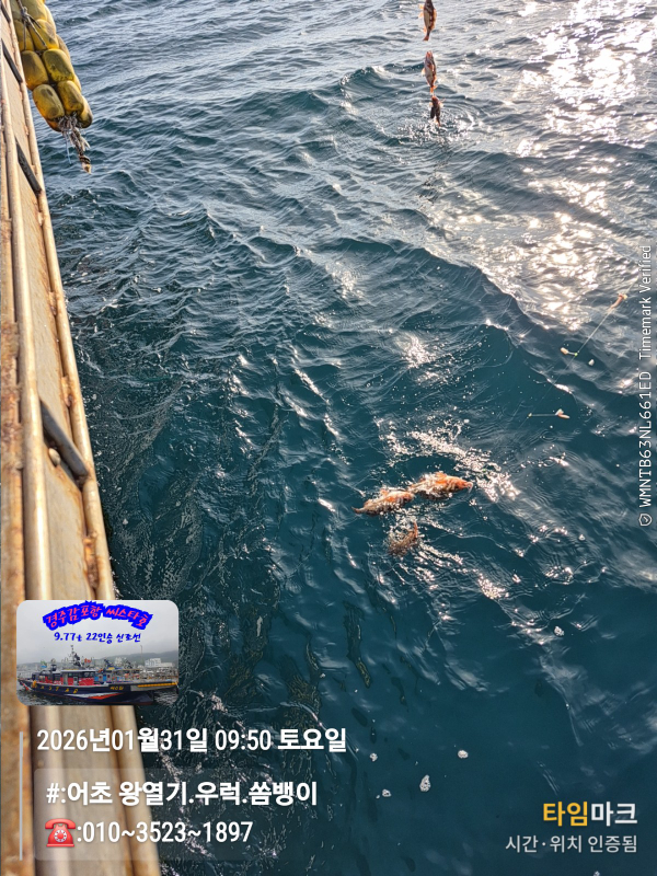 2026-01-31 09.50.42__(#-어초 왕열기.우럭.쏨뱅이)_(-010~3523~1897).jpg