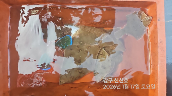 신신낚시 강구점 신신호_사진_20260117_13.jpg