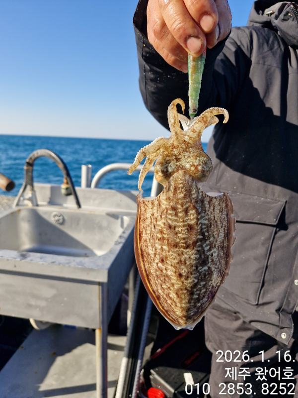 제주왔어호_사진_20260116_24.jpg