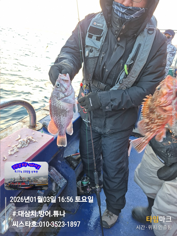 2026-01-03 16.56.39__(#-대삼치.방어.튜나)_(씨스타호-010-3523-1897).jpg