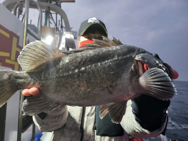 군산 선상낚시, 바다낚시 출조 전문 ☆서군산낚시☆_사진_20260118_2.jpg