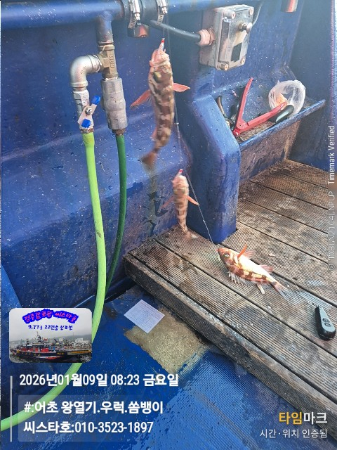 2026-01-09 08.23.04__(#-어초 왕열기.우럭.쏨뱅이)_(씨스타호-010-3523-1897).jpg