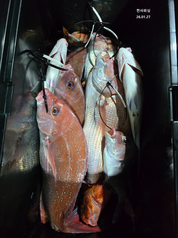 1004피싱_사진_20260128_14.jpg