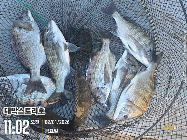 2026-01-02 11.02.21__(대박스토리호).jpg