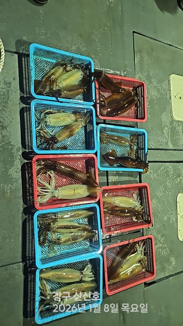 신신낚시 강구점 신신호_사진_20260109_9.jpg