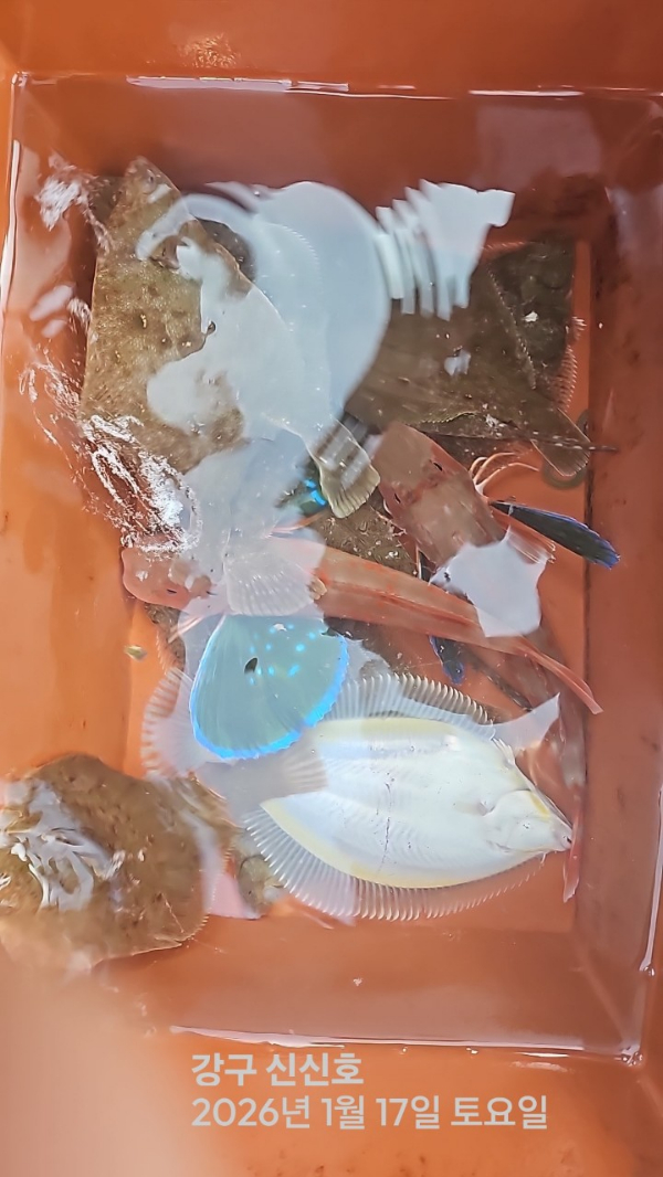 신신낚시 강구점 신신호_사진_20260117_5.jpg