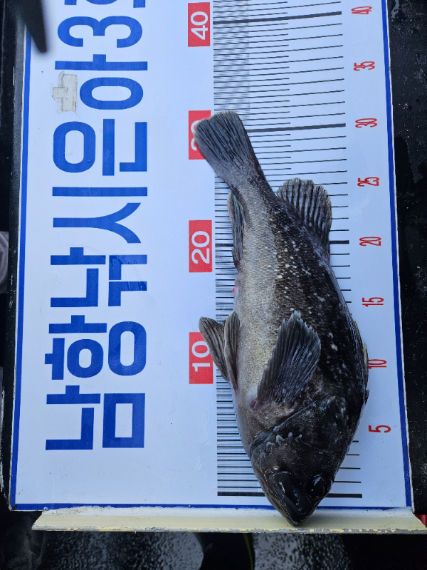 1월18 3호 (12).jpg