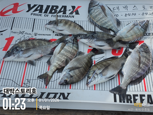 2026-01-01 01.23.35__(대박스토리호).jpg