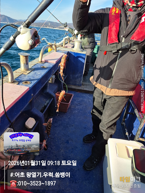 2026-01-31 09.18.29__(#-어초 왕열기.우럭.쏨뱅이)_(-010~3523~1897).jpg