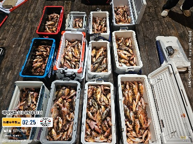 2025-12-21 02.25.20_Japan_(제목-뉴블루마린호)_(예약전화 010 8924 3131).jpg