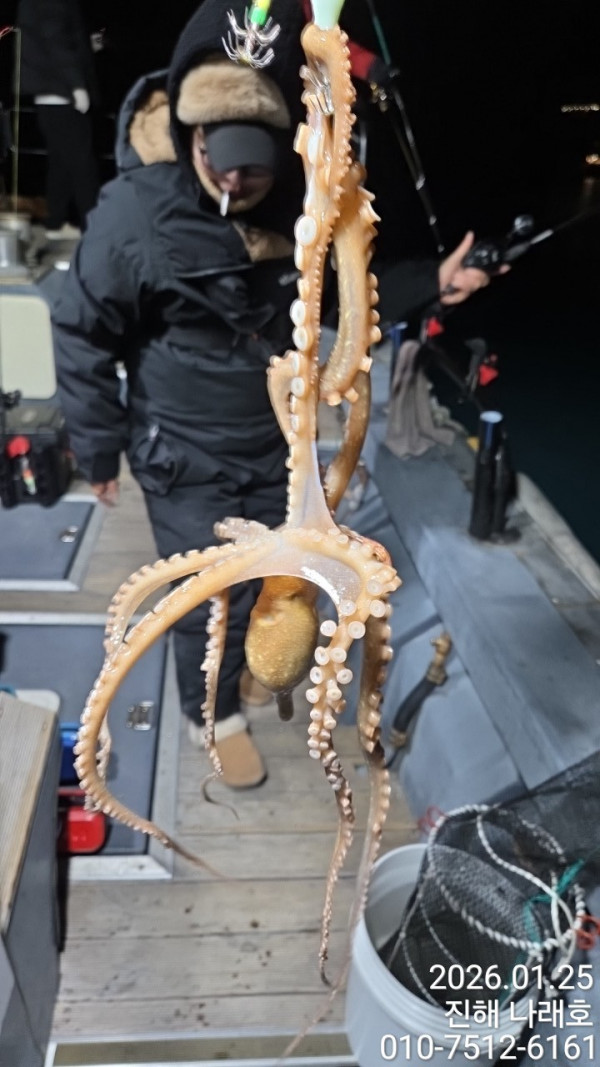 진해 나래호(문어,낙지,갈치)_사진_20260126_8.jpg