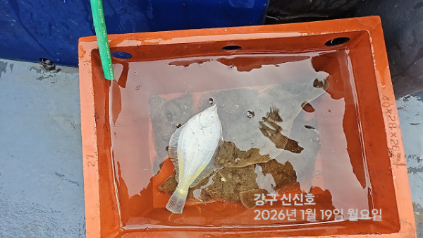 신신낚시 강구점 신신호_사진_20260119_3.jpg