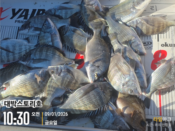 2026-01-09 10.30.16__(대박스토리호).jpg