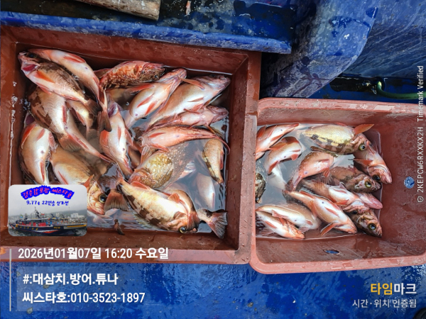 2026-01-07 16.20.47__(#-대삼치.방어.튜나)_(씨스타호-010-3523-1897).jpg