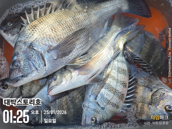 2026-01-25 01.25.59__(대박스토리호).jpg