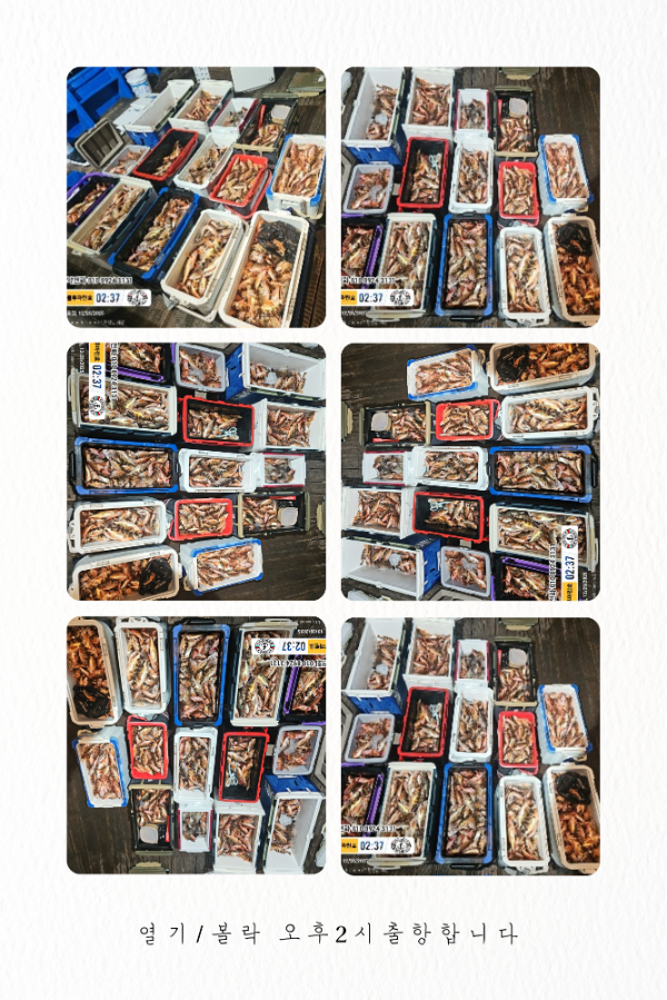 베이지색 깔끔하고 심플한 가족 사진 콜라주_20260112_200143_0000.png