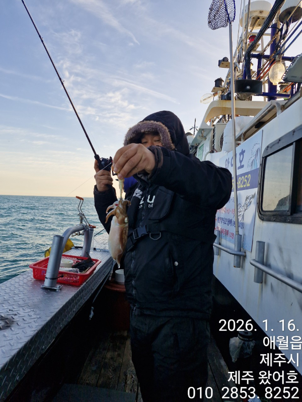 제주왔어호_사진_20260116_31.jpg