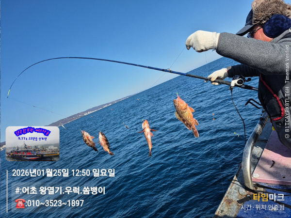 2026-01-25 12.50.11__(#-어초 왕열기.우럭.쏨뱅이)_(-010~3523~1897).jpg