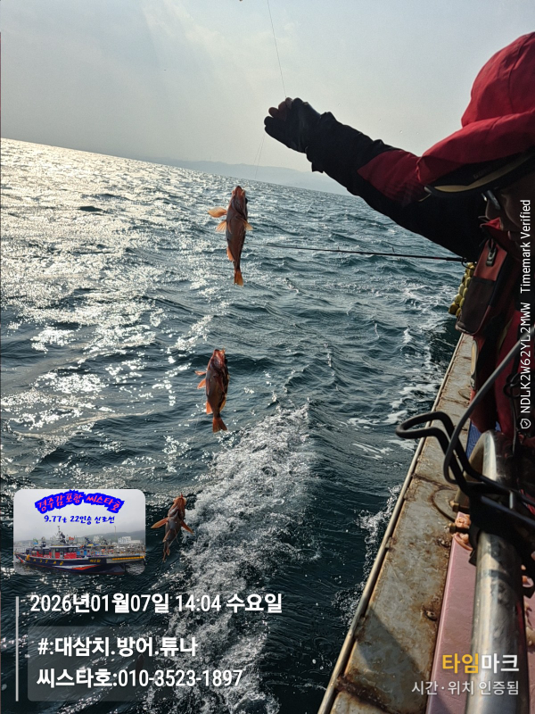 2026-01-07 14.04.41__(#-대삼치.방어.튜나)_(씨스타호-010-3523-1897).jpg