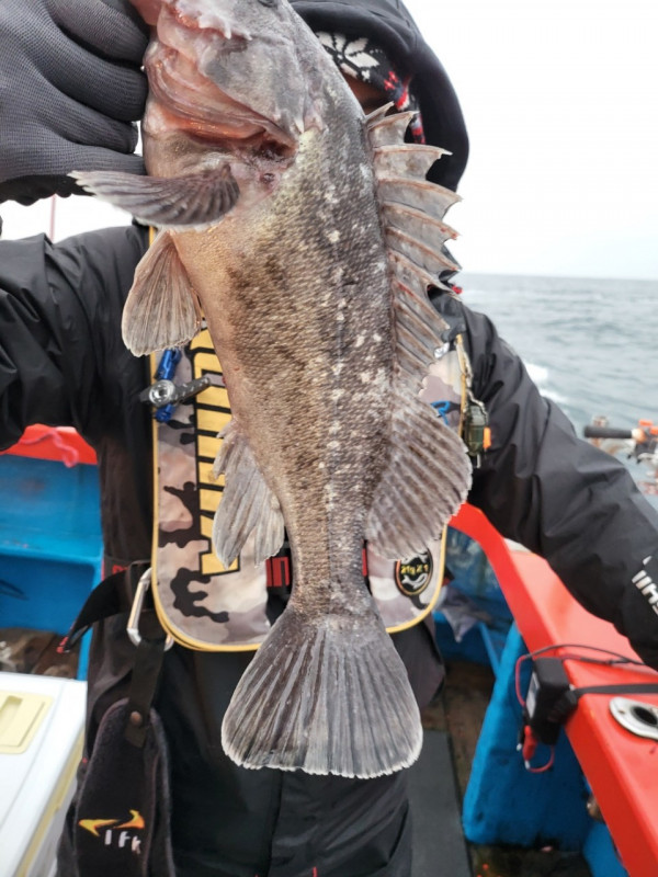 군산 선상낚시, 바다낚시 출조 전문 ☆서군산낚시☆_사진_20260118_7.jpg