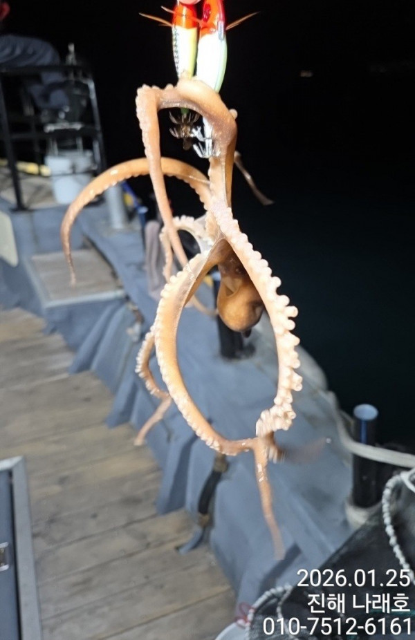 진해 나래호(문어,낙지,갈치)_사진_20260126_7.jpg