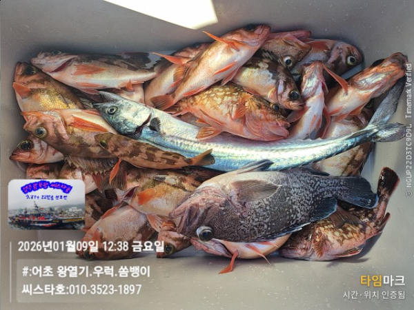 2026-01-09 12.38.48__(#-어초 왕열기.우럭.쏨뱅이)_(씨스타호-010-3523-1897).jpg
