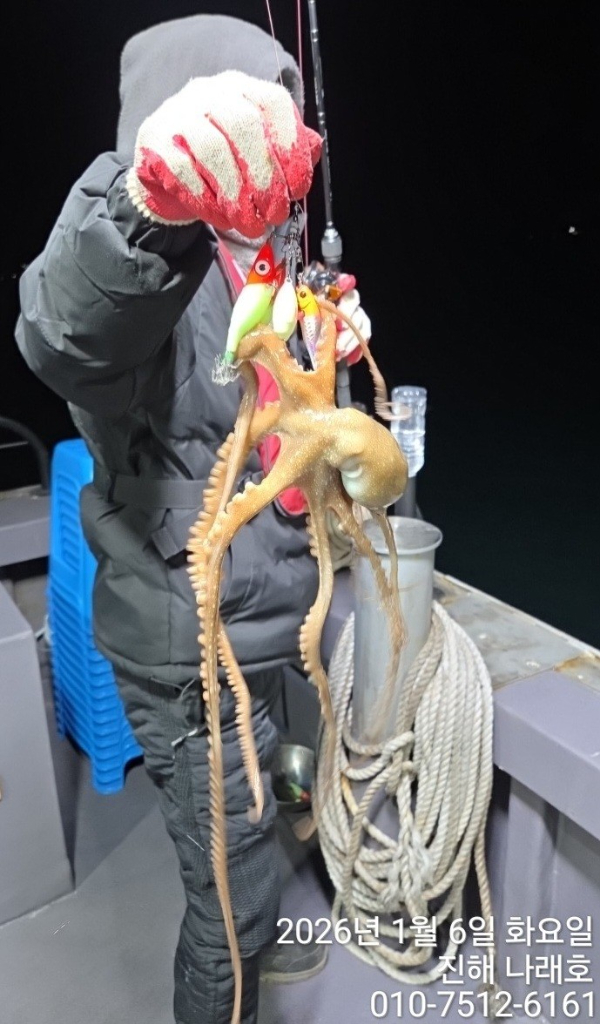 진해 나래호(문어,낙지,갈치)_사진_20260109_5.jpg