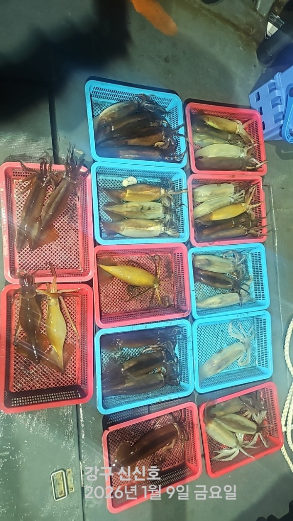 신신낚시 강구점 신신호_사진_20260110_12.jpg