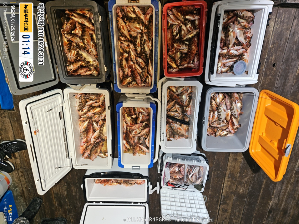 2026-01-25 01.14.53(1)__(제목-뉴블루마린호)_(예약전화 010 8924 3131).jpg