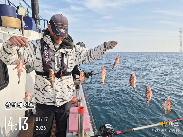 2026-01-17 14.13.53_.jpg