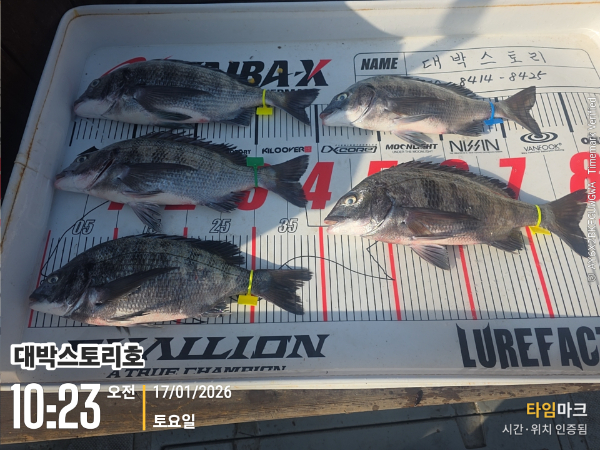 2026-01-17 10.23.56__(대박스토리호).jpg