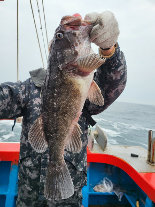 군산 선상낚시, 바다낚시 출조 전문 ☆서군산낚시☆_사진_20260118_5.jpg