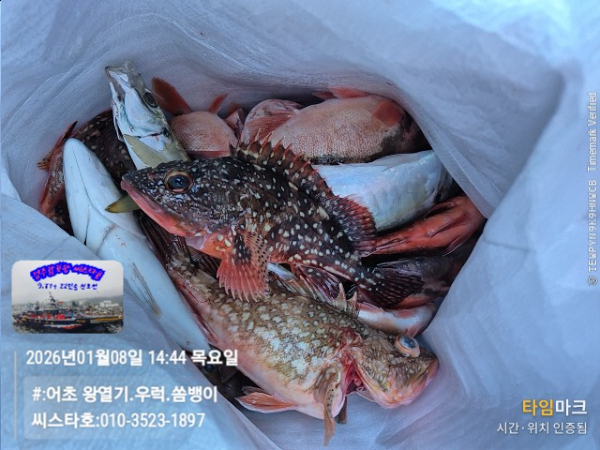 2026-01-08 14.44.17__(#-어초 왕열기.우럭.쏨뱅이)_(씨스타호-010-3523-1897).jpg