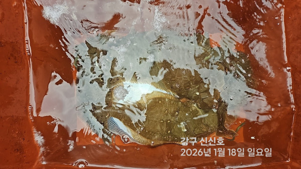 신신낚시 강구점 신신호_사진_20260118_6.jpg