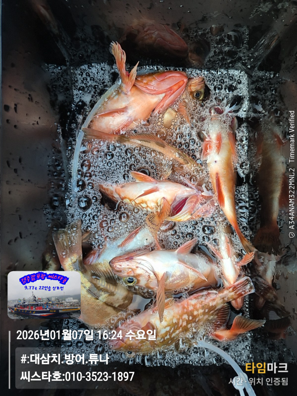 2026-01-07 16.24.15__(#-대삼치.방어.튜나)_(씨스타호-010-3523-1897).jpg