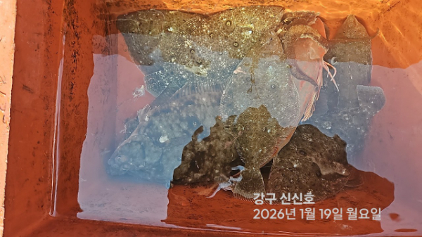 신신낚시 강구점 신신호_사진_20260119_9.jpg