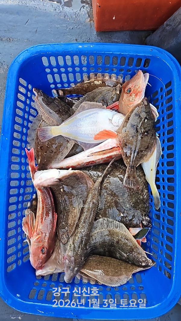 신신낚시 강구점 신신호_사진_20260104_2.jpg