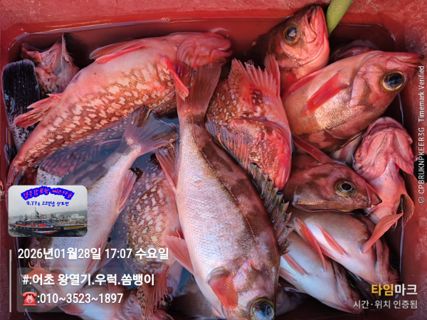 2026-01-28 17.07.35__(#-어초 왕열기.우럭.쏨뱅이)_(-010~3523~1897).jpg