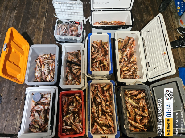 2026-01-25 01.14.52__(제목-뉴블루마린호)_(예약전화 010 8924 3131).jpg