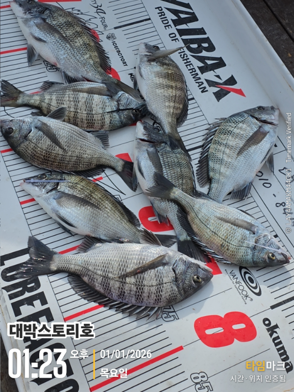 2026-01-01 01.23.43__(대박스토리호).jpg