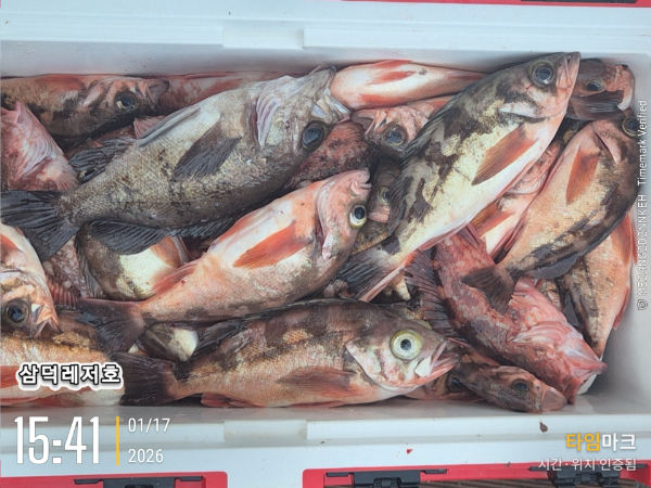 2026-01-17 15.41.34_.jpg