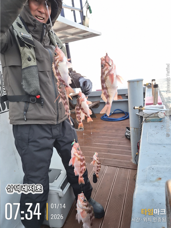 2026-01-14 07.34.44_.jpg