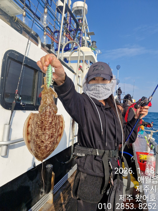 제주왔어호_사진_20260119_25.jpg
