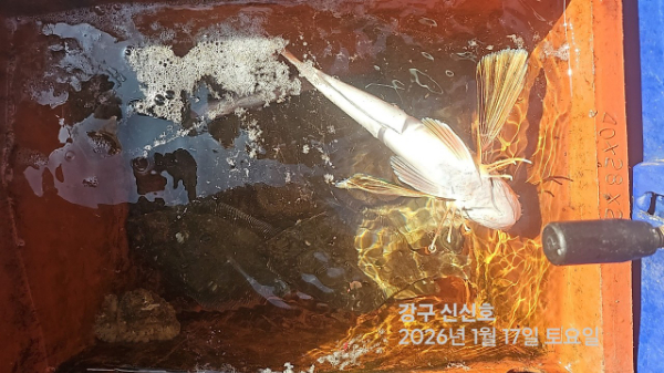 신신낚시 강구점 신신호_사진_20260117_14.jpg