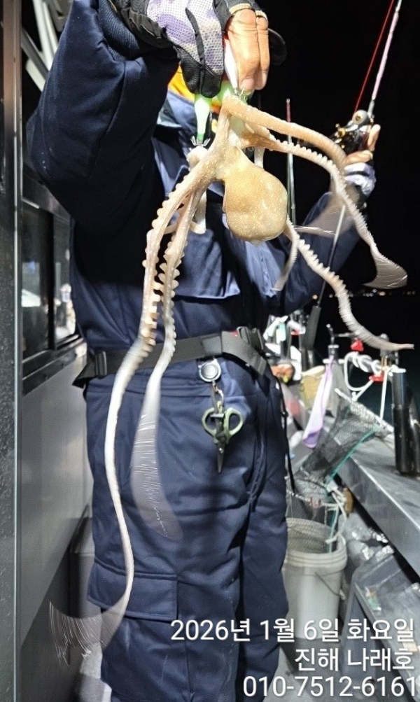 진해 나래호(문어,낙지,갈치)_사진_20260109_6.jpg