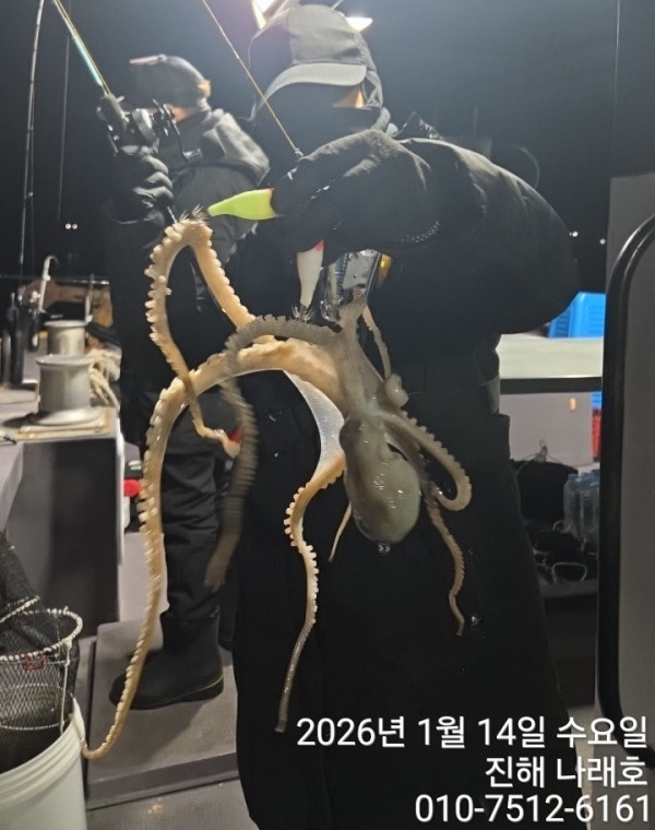 진해 나래호(문어,낙지,갈치)_사진_20260115_12.jpg